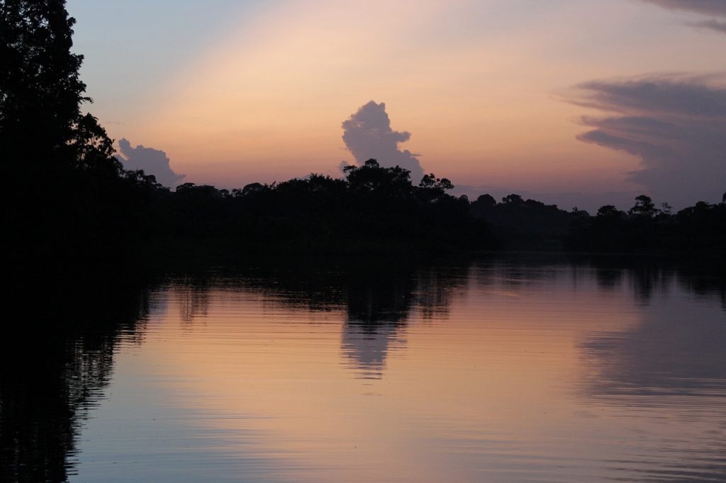 Grandes rios de América: El Amazonas